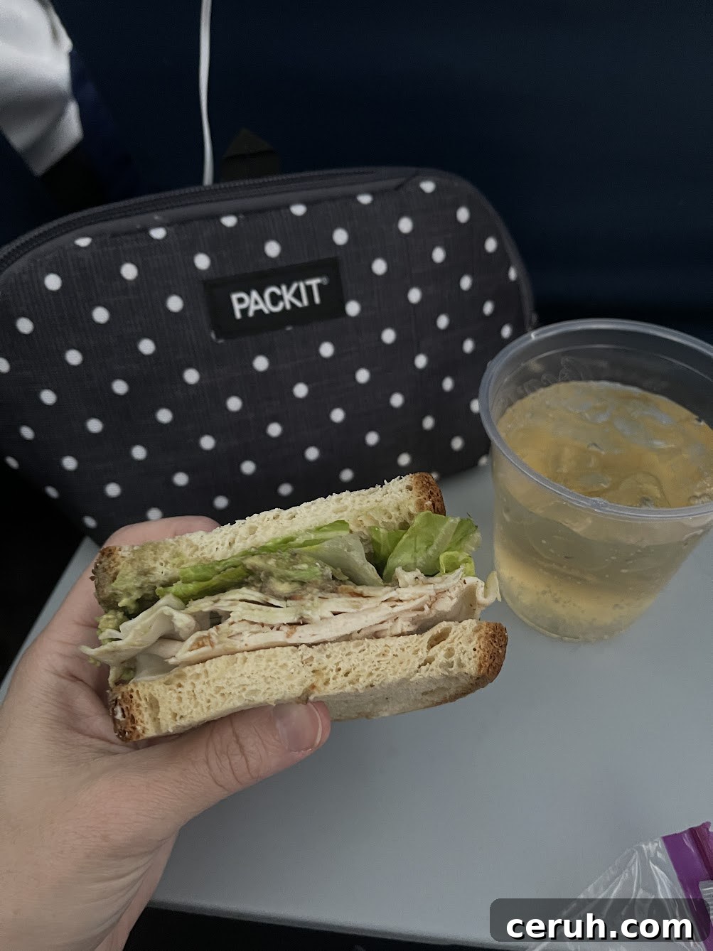 sandwich drink & PackIt on a plane
