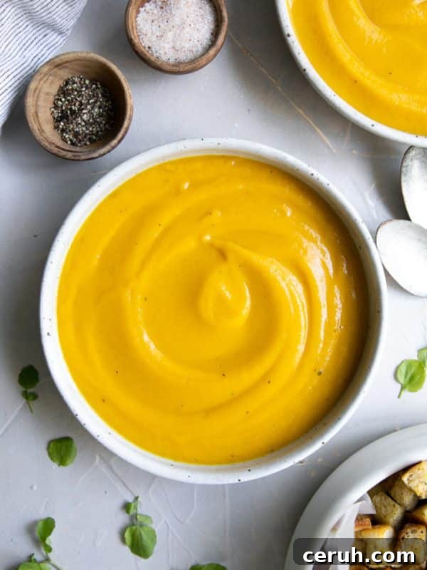 Shallow bowl filled with smooth and creamy, blended butternut squash soup.