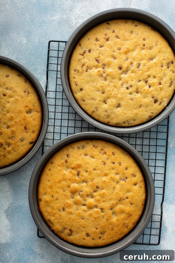 Three 9 inch cakes baked on their baking pans