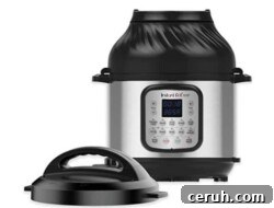 Air Fryer Duo