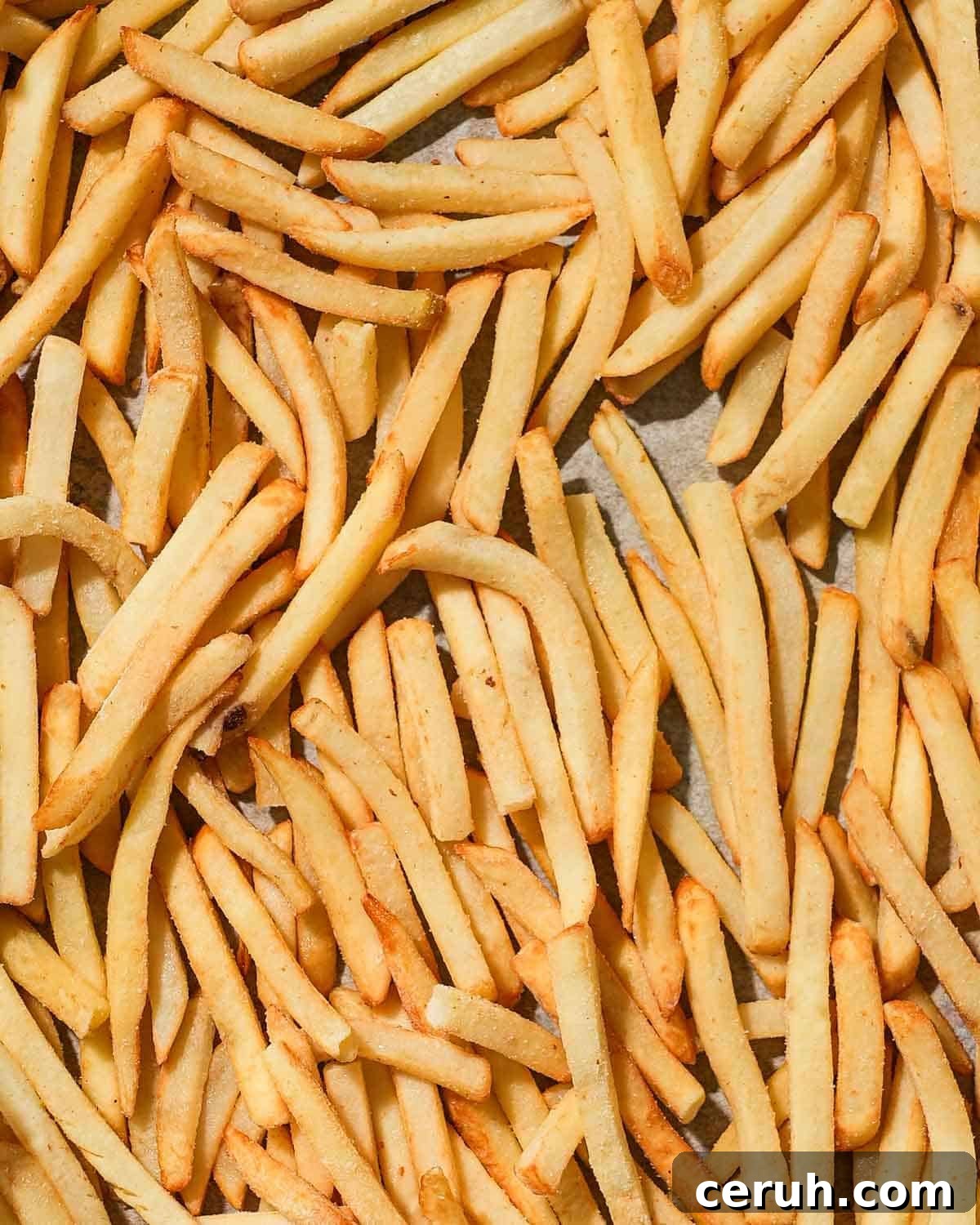 Crispy Parmesan Truffle Fries Recipe — Golden, Flavorful Fries 4 img 28236 3