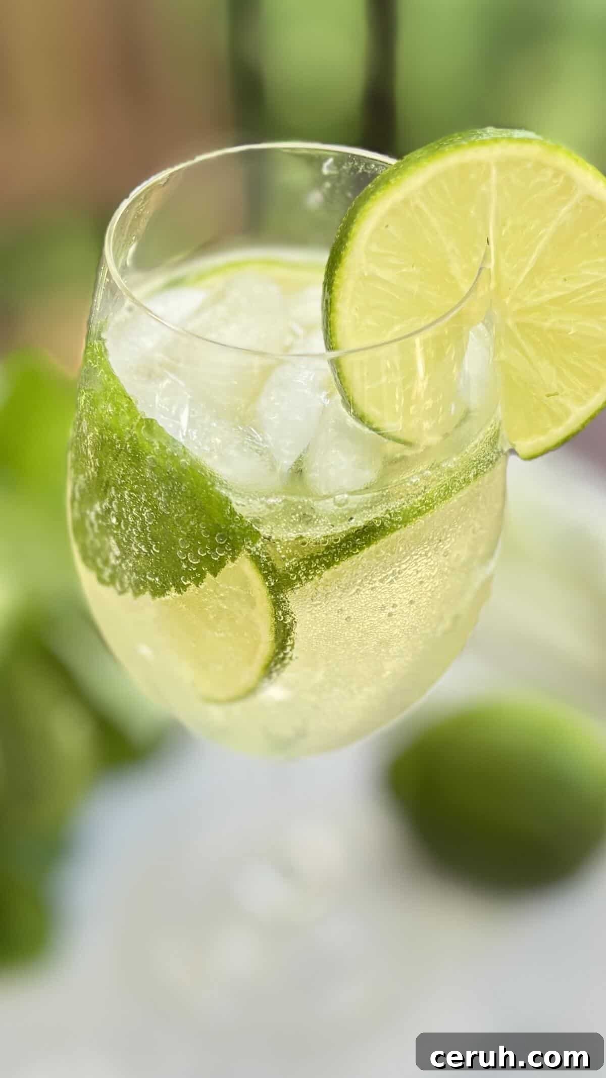 Refreshing cocktail.
