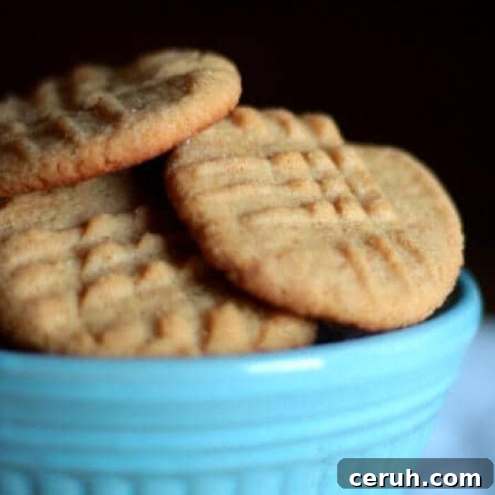 Peanut butter cookies in a bowl showing texture of the cookies.