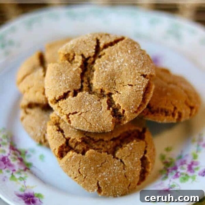 Peanut butter molasses crinkle cookies on a plate.