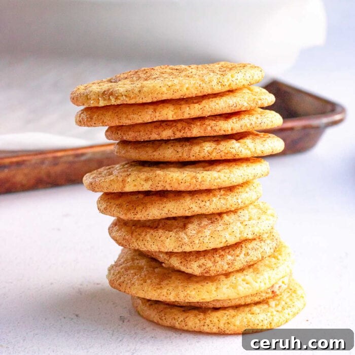 Homemade snickerdoodle cookies in a stack.