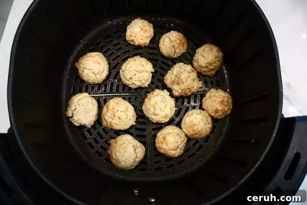air fryer powdered sugar donut holes