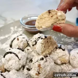 air fryer powdered sugar donut holes