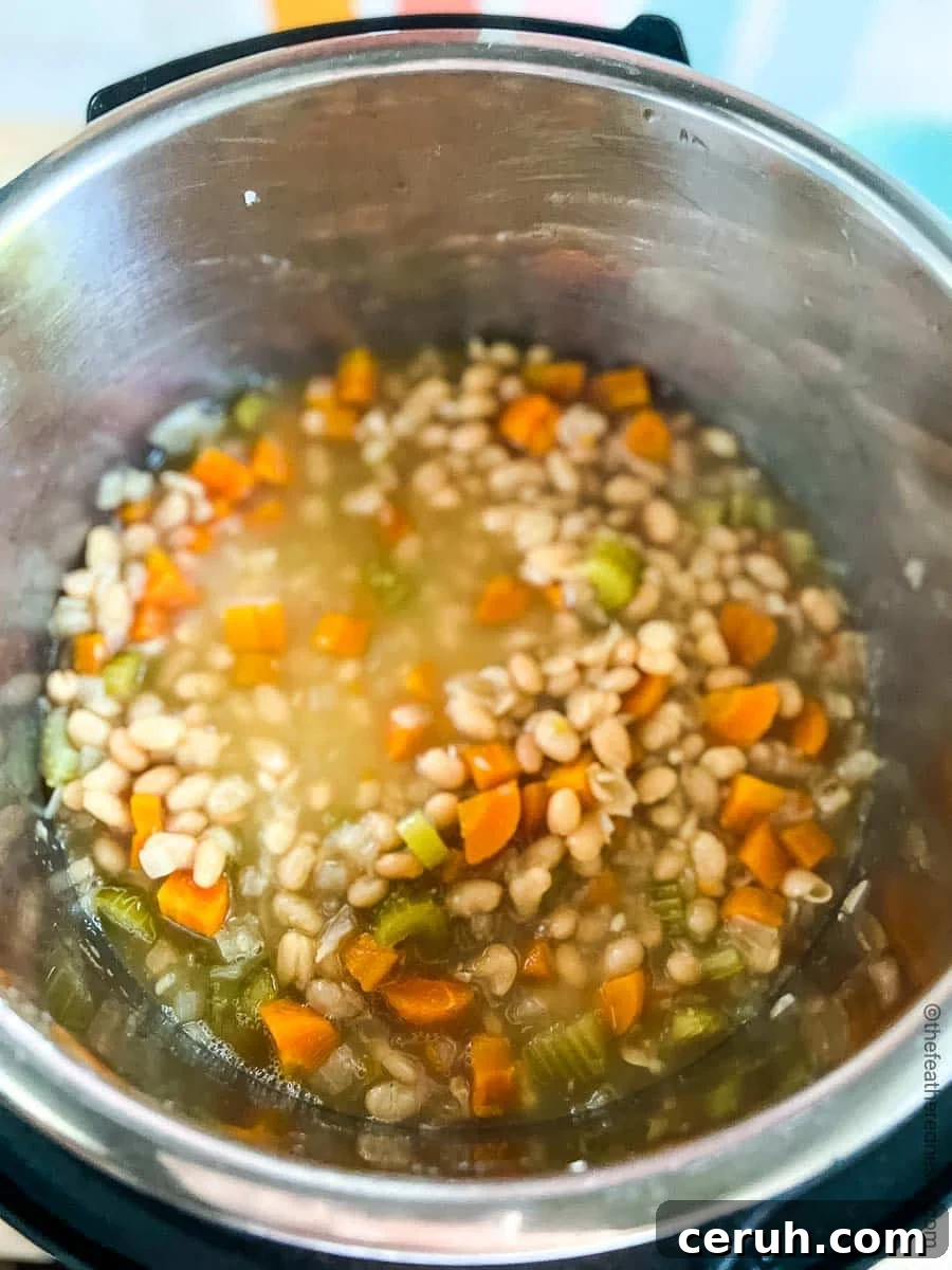 Raw ingredients for navy bean soup in the Instant Pot.