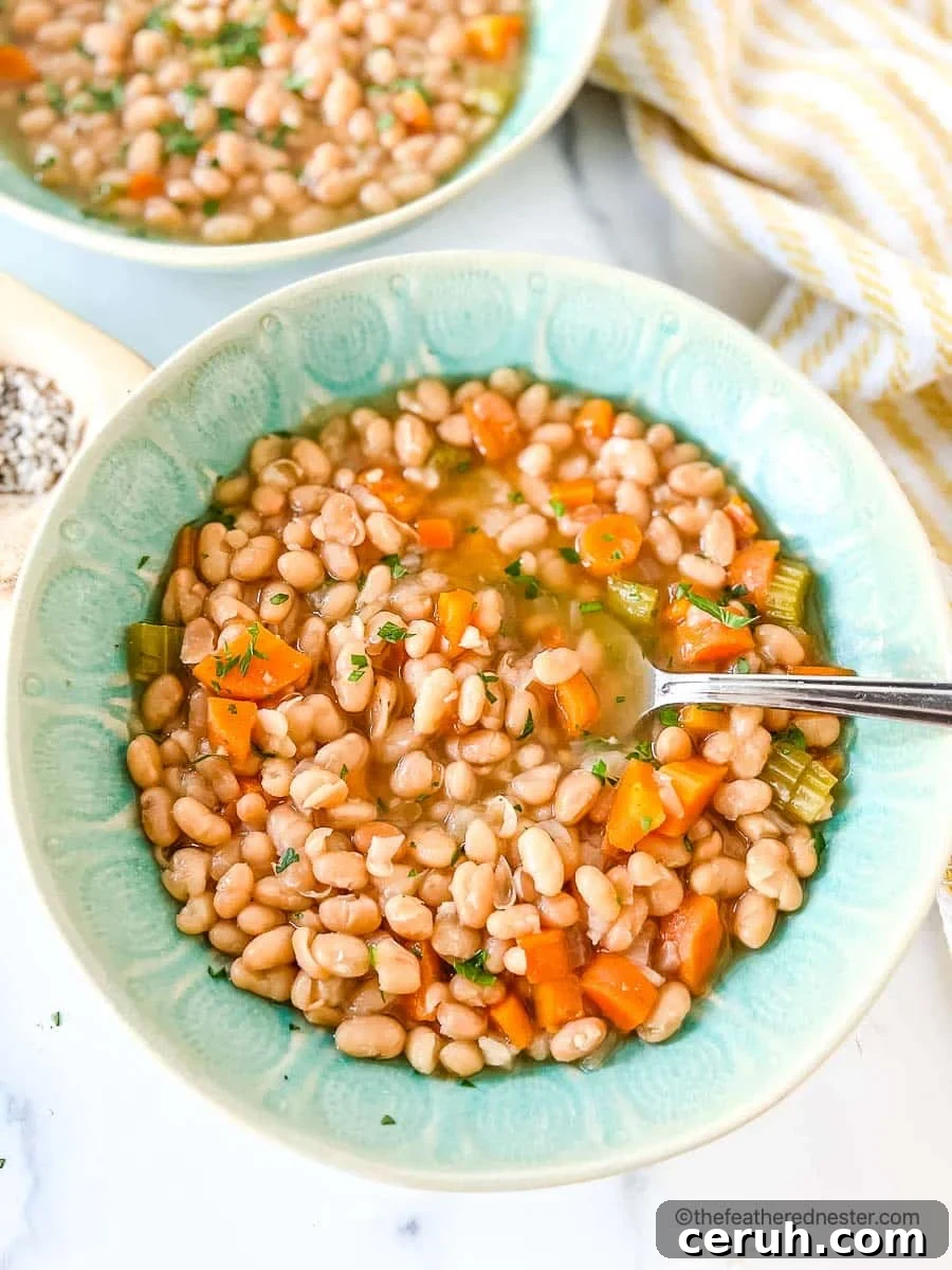A bowl of navy bean soup.