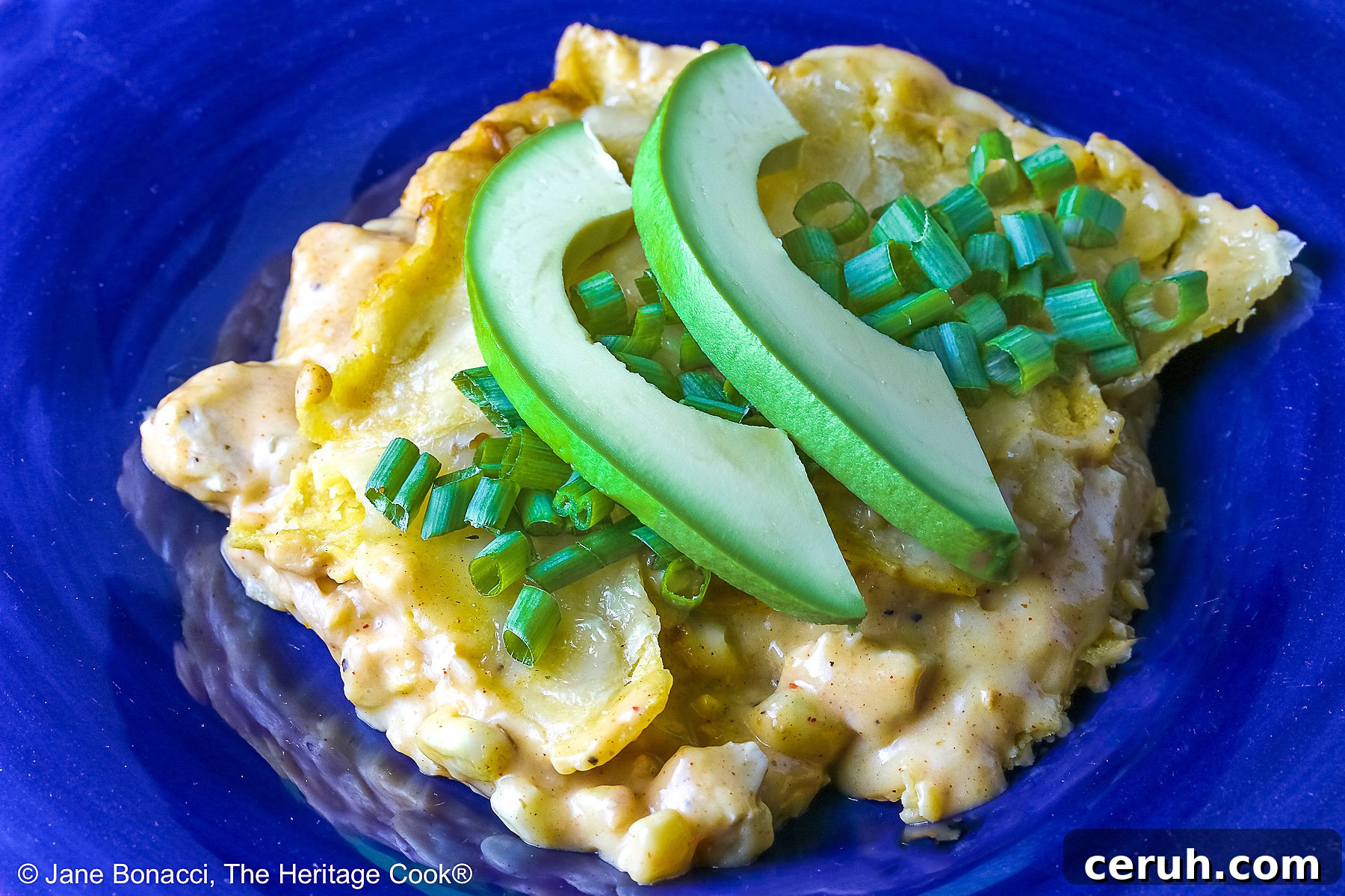 Chicken Enchilada Casserole cut into squares and served in a dark blue bowl, topped with chopped green onions and two slices of avocado, some with a blue cloth and fork in the back © 2025 Jane Bonacci, The Heritage Cook.