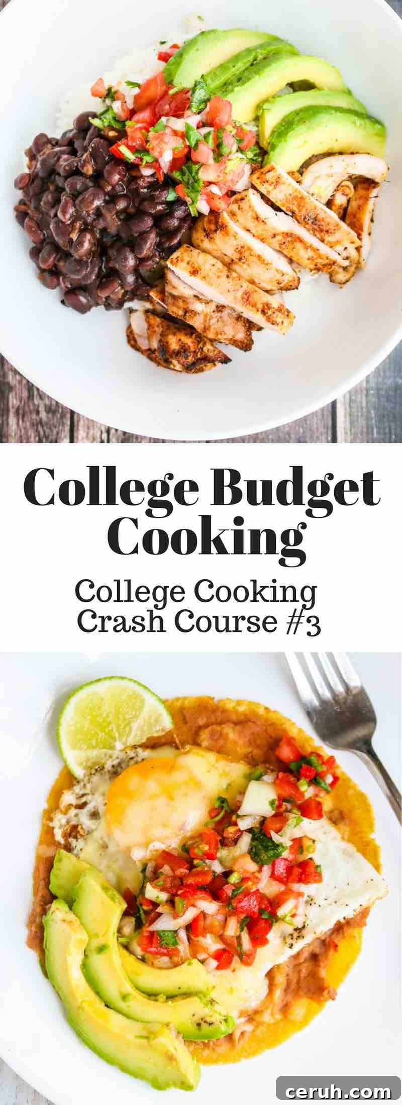College Cooking Crash Course: Cooking on a Low Budget Cooking - cooking on a low budget of $6/day. Learn how to make huevos rancheros, quesadillas and burrito bowls