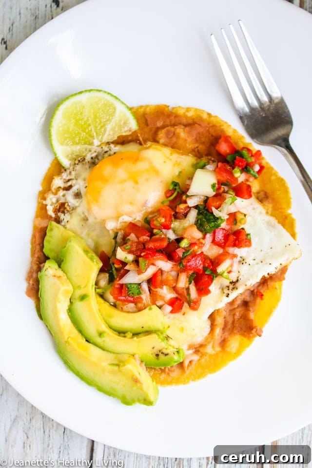 College Cooking Crash Course. Learn how to cook healthy on a low budget, making huevos rancheros, quesadillas and burrito bowls repurposing ingredients.
