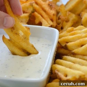 Top Frozen Foods to Cook in Your Air Fryer 10 air fryer fries