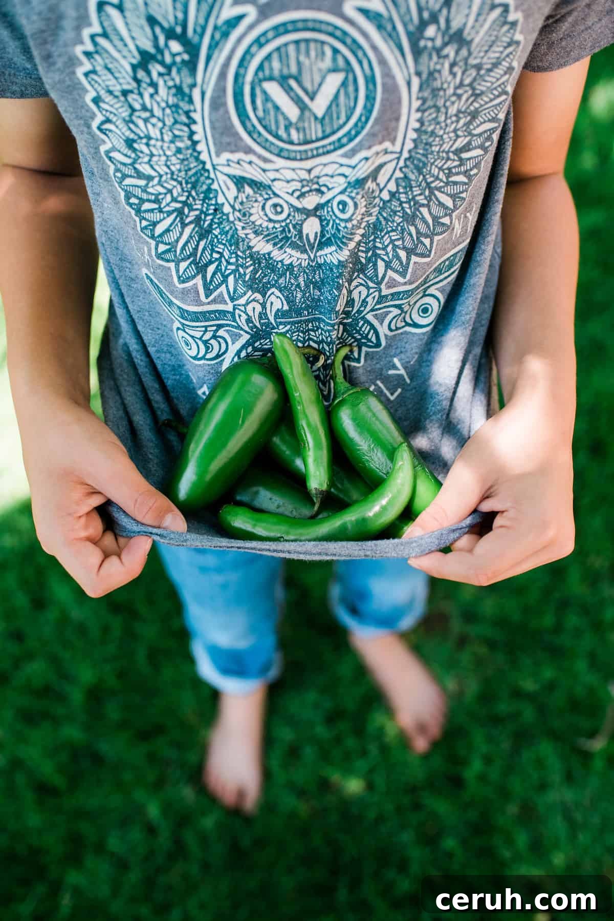 kid holding a bunch of garden-fresh jalapeños in his shirt out in the yard.