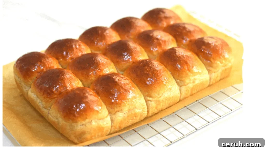 whole wheat dinner rolls recipe