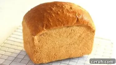 whole wheat sandwich bread recipe