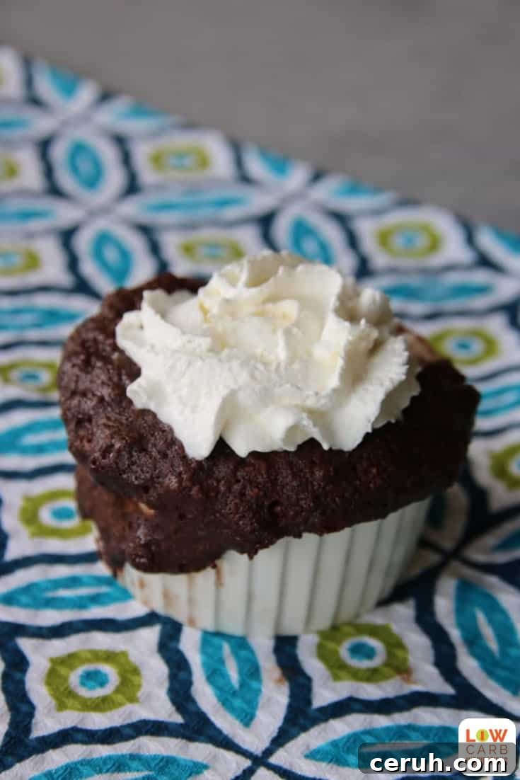 1-Minute Low-Carb Mug Brownie Recipe 2 These 1 minute low carb brownies in a mug are amazing! They are the perfect low carb dessert to quickly make for your family!