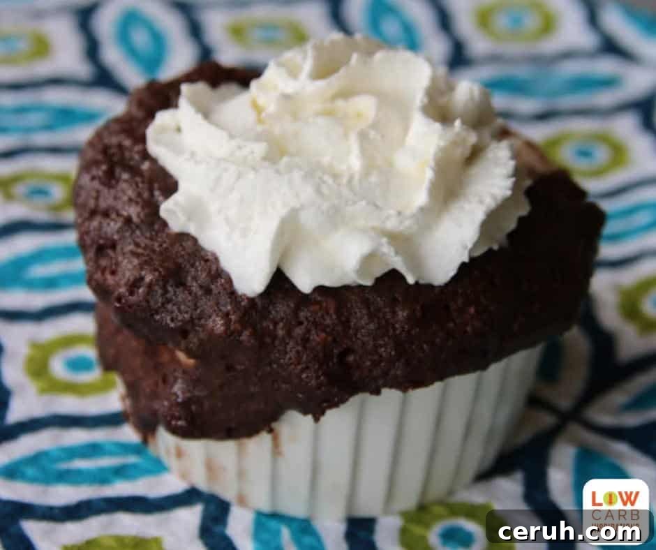1-Minute Low-Carb Mug Brownie Recipe 3 1 Minute Low Carb Brownies in a Mug Recipe