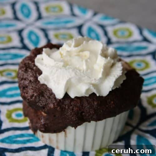 These 1 minute low carb brownies in a mug are amazing! They are the perfect low carb dessert to quickly make for your family!