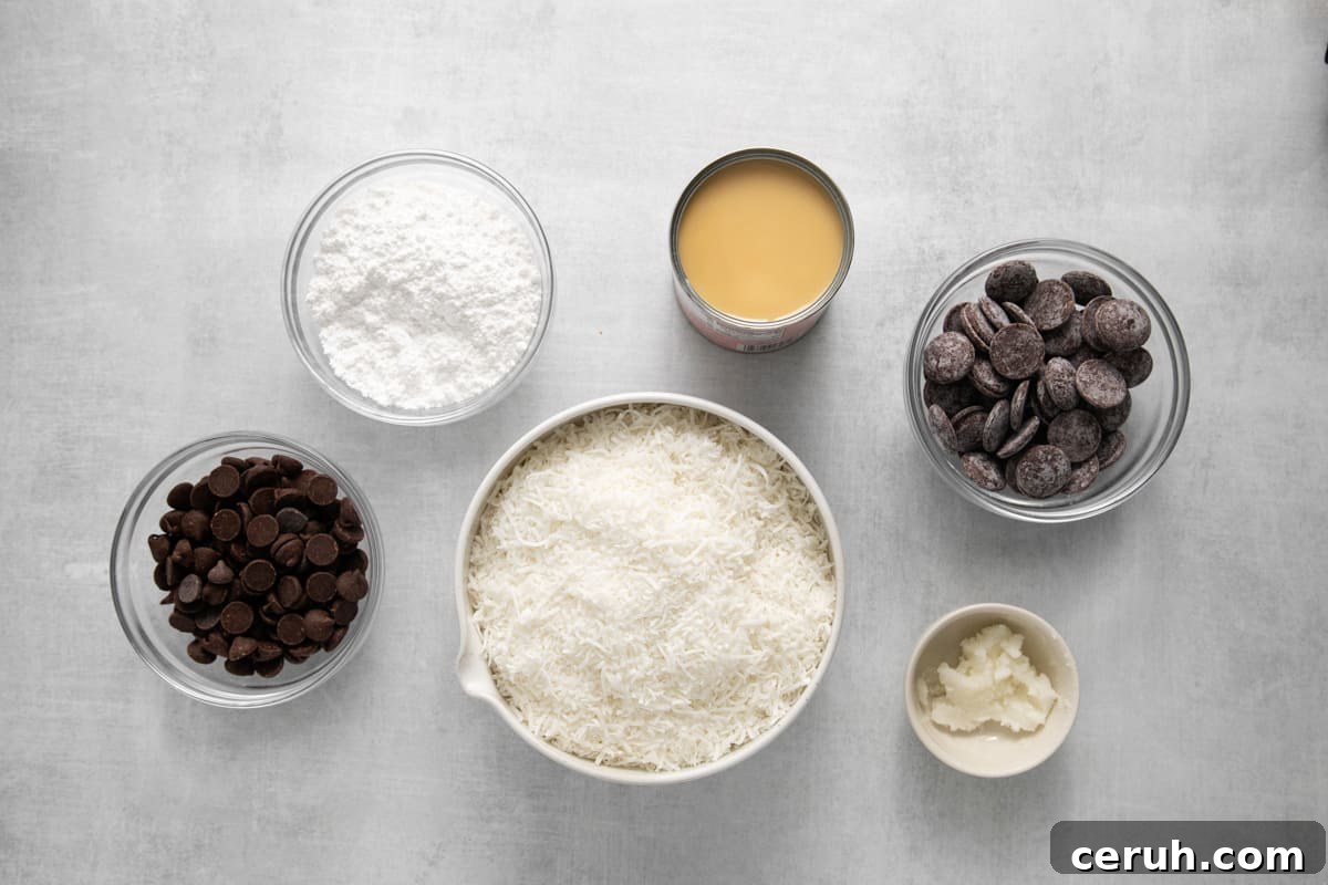 overhead view of ingredients for coconut truffles.