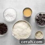 overhead view of ingredients for coconut truffles.