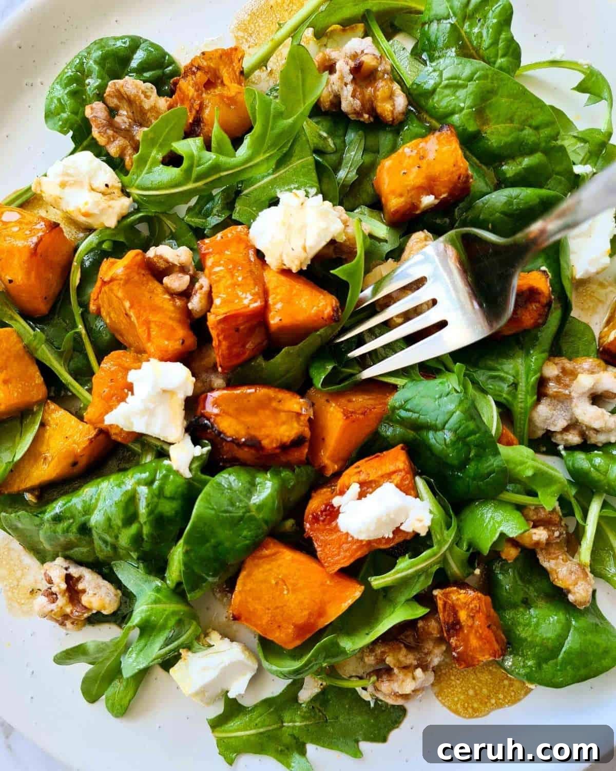 Close up of a plate of pumpkin salad with a fork 