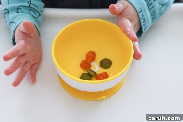 Frozen Baby Food For Toddlers