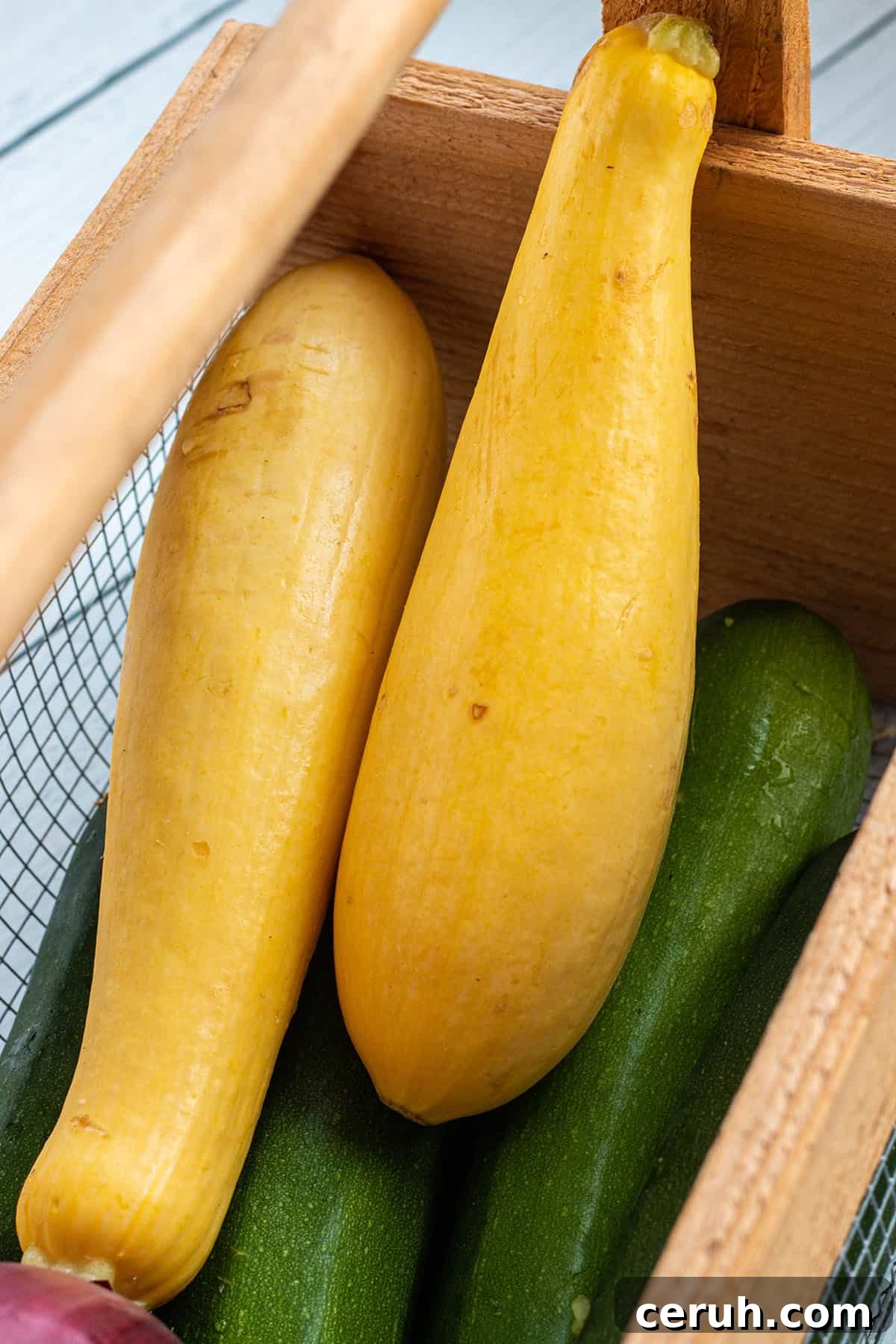 Gardening Basket with yellow summer squash. 