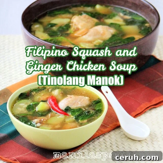 Tinolang Manok in a bowl