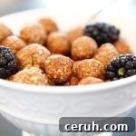 Coconut Sugar Cinnamon Puffs