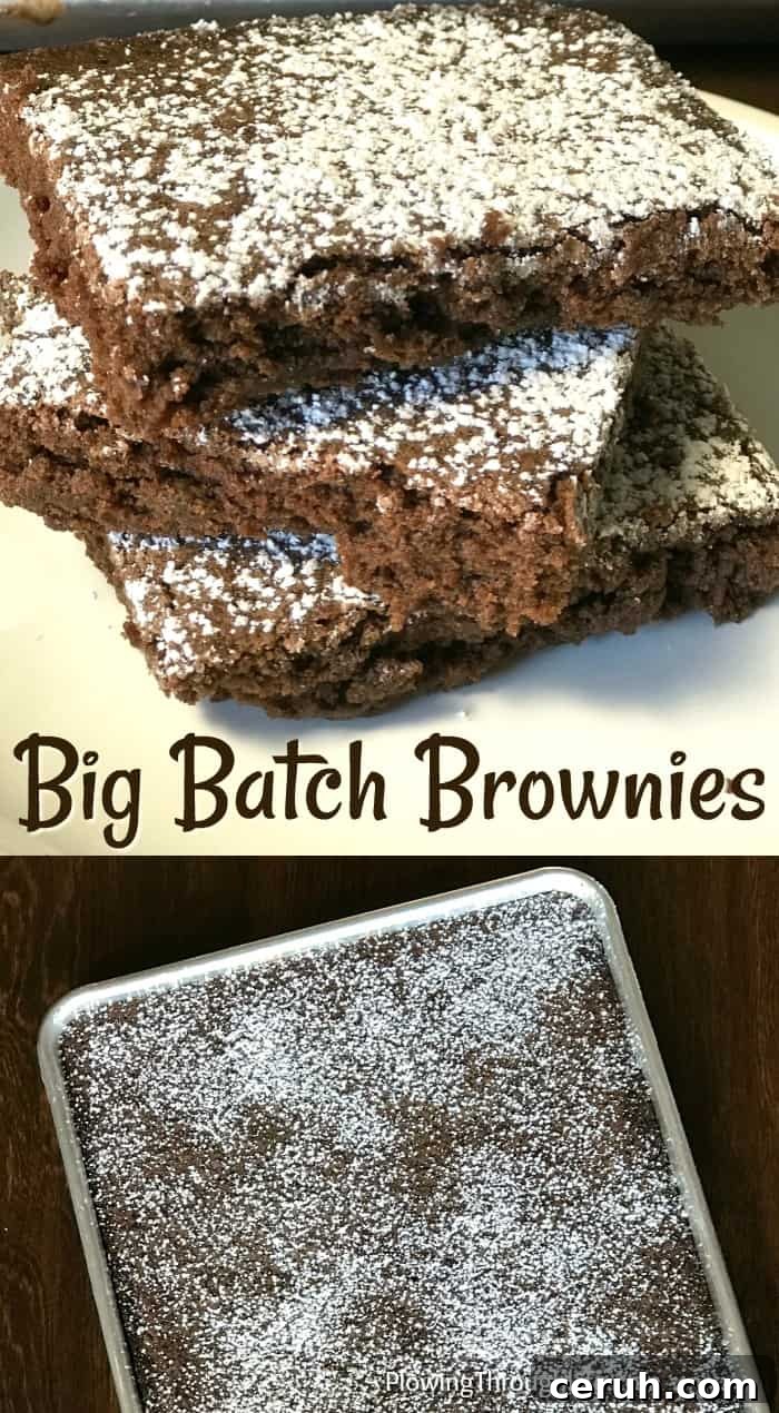Collage of thin chocolate browines and big batch of homemade brownies with text