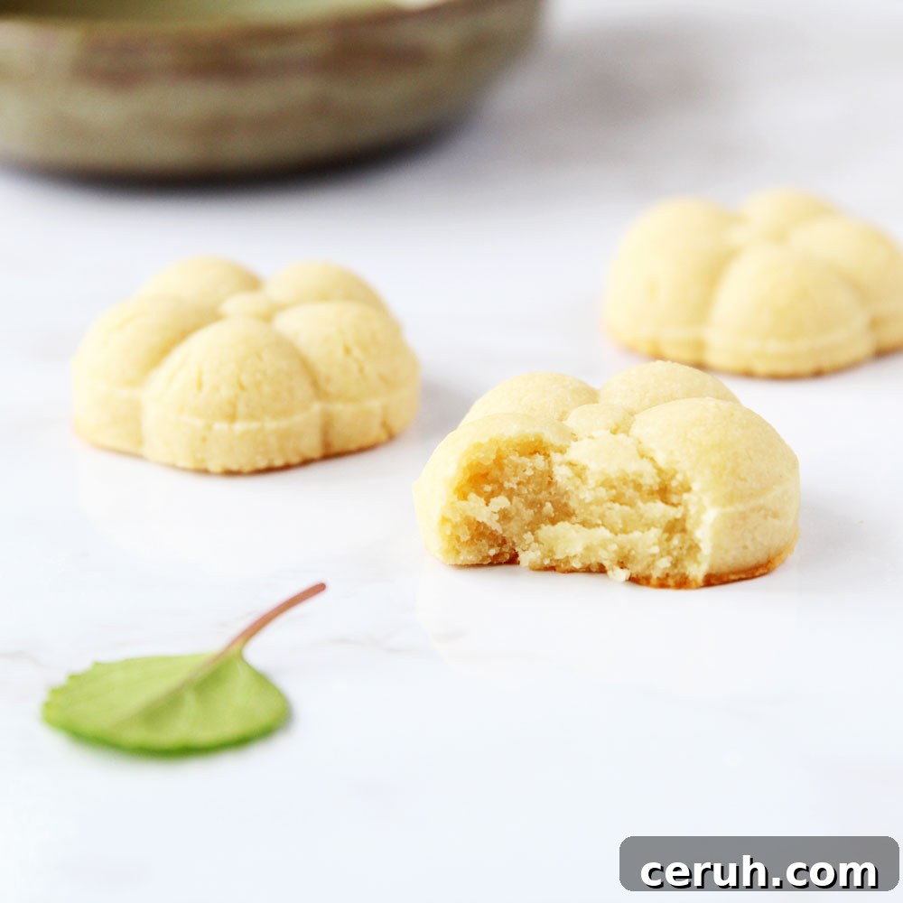 vegan tofu cookies soft and chewy