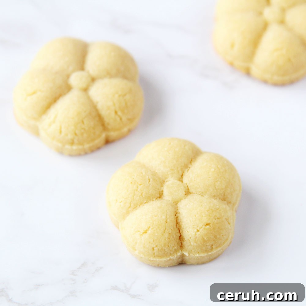 vegan tofu cookies shaped cookie press baked