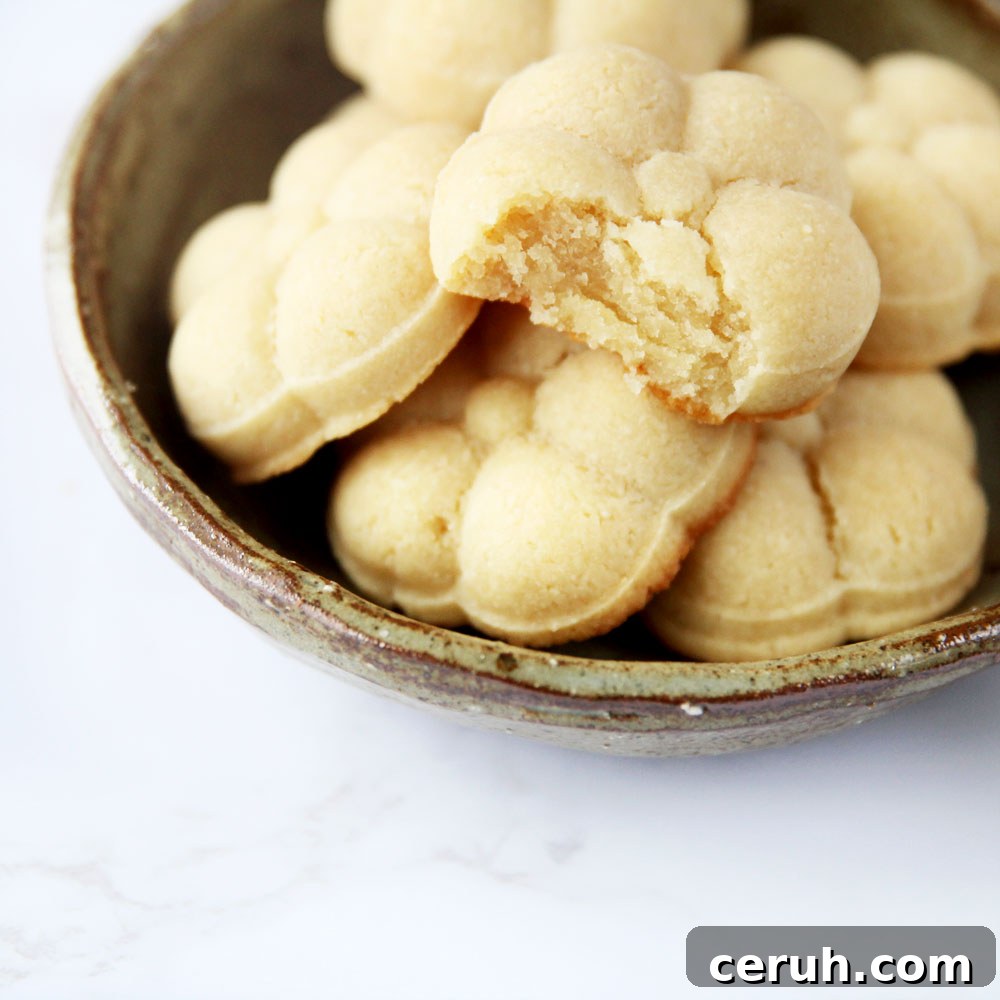 vegan tofu cookies press shaped
