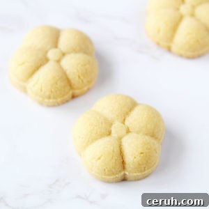 vegan tofu cookies shaped cookie press baked