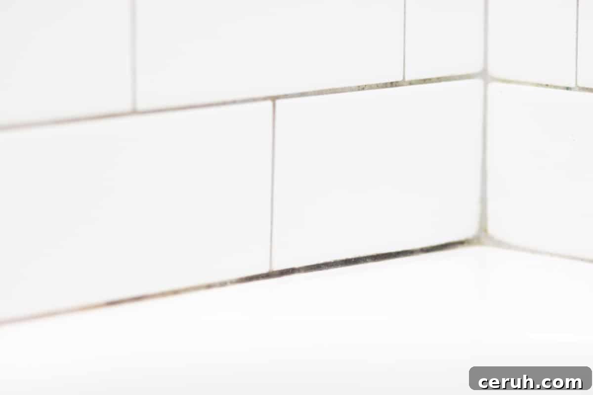 Natural Ways to Remove Mold from Shower Grout Quickly 5 mold in shower tile grout