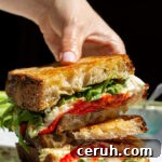 Prosciutto and Burrata Sandwich