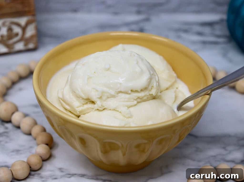 ninja creami coconut ice cream