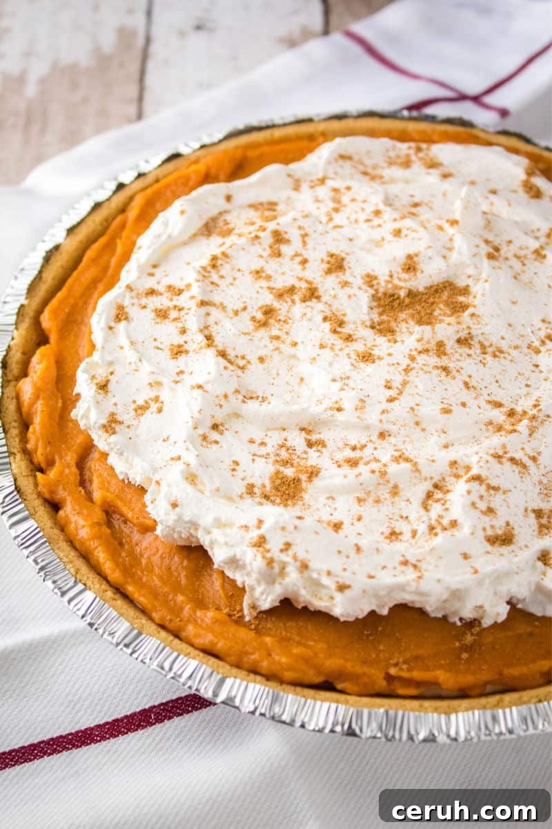 no bake pumpkin pie with whipped topping and chai spice on top