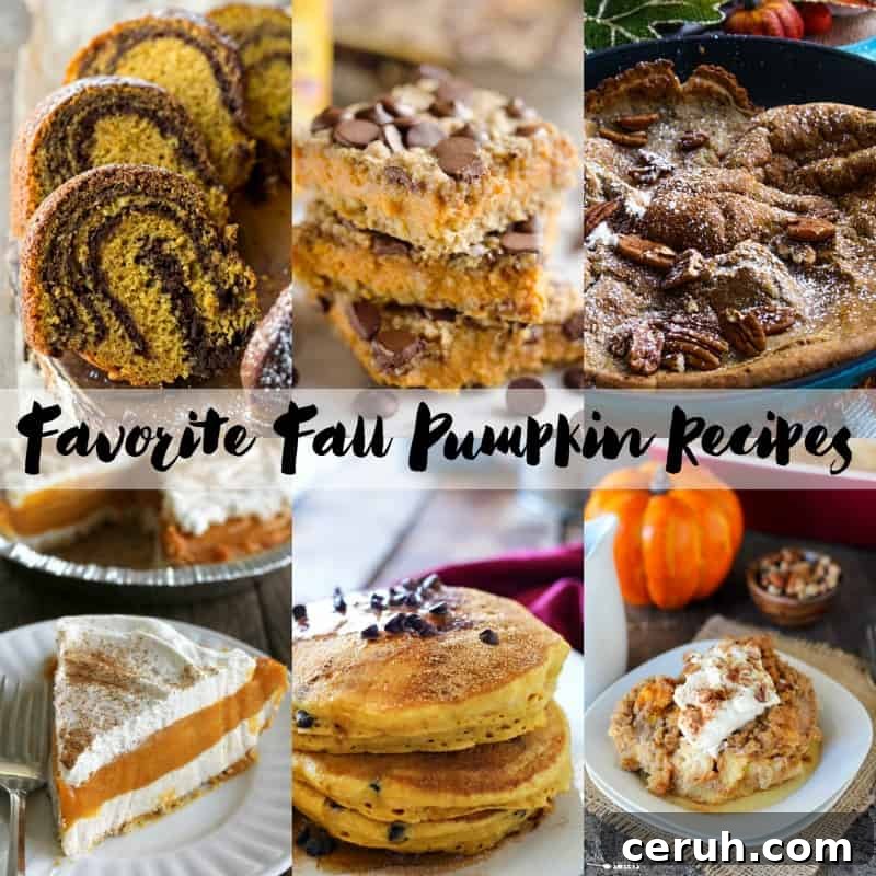 Our Favorite Fall Pumpkin Recipes | Bread Booze Bacon