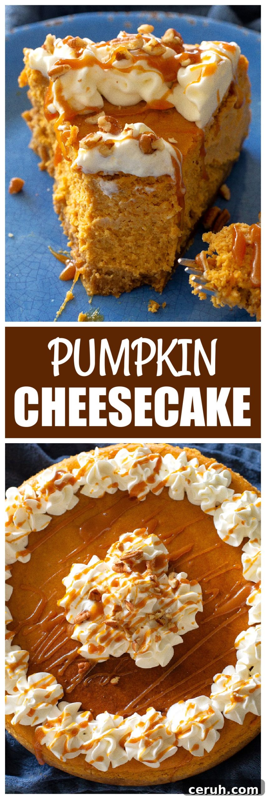 pumpkin cheesecake