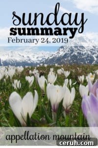 Sunday Summary: 2.24.19
