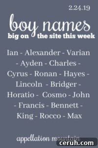 Boy Nanes 2.24.19
