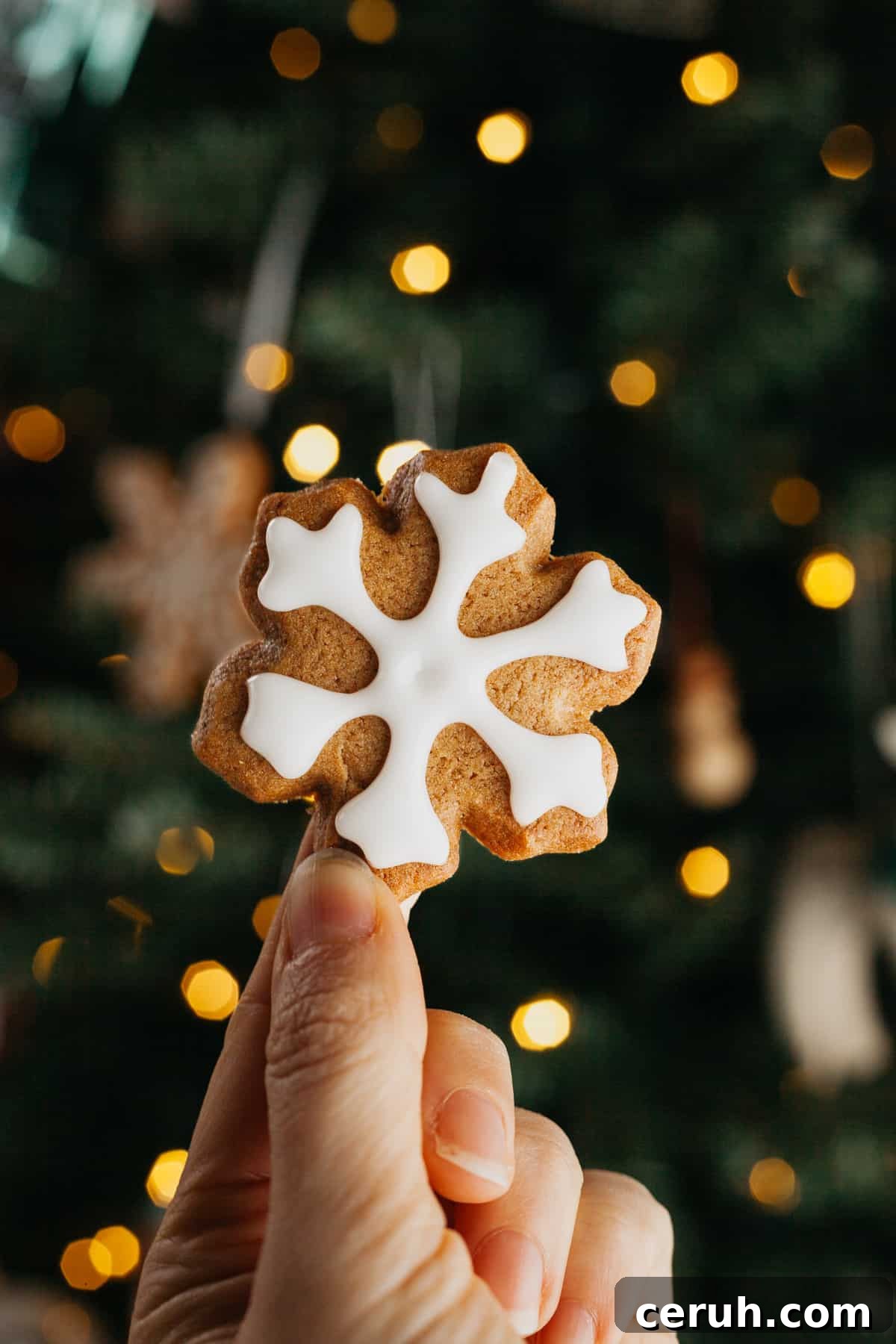 A hand holding a gingerbread cookie in the shape of a snowflake.
