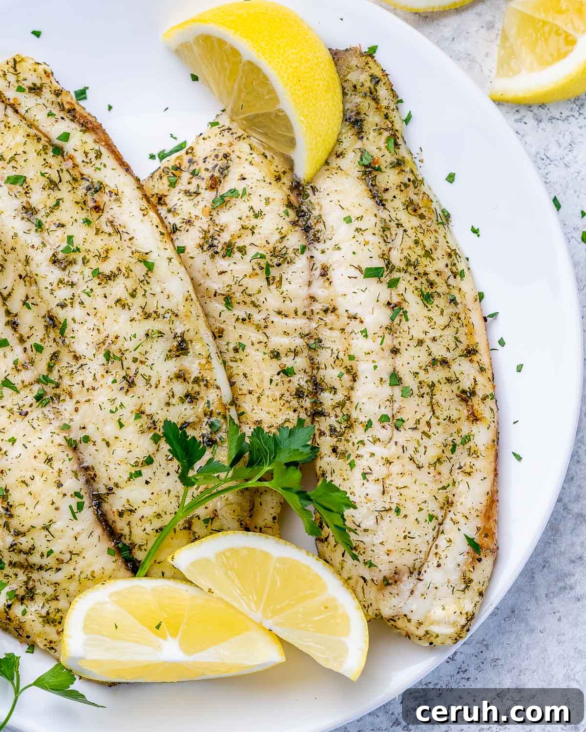 Air Fryer White Fish