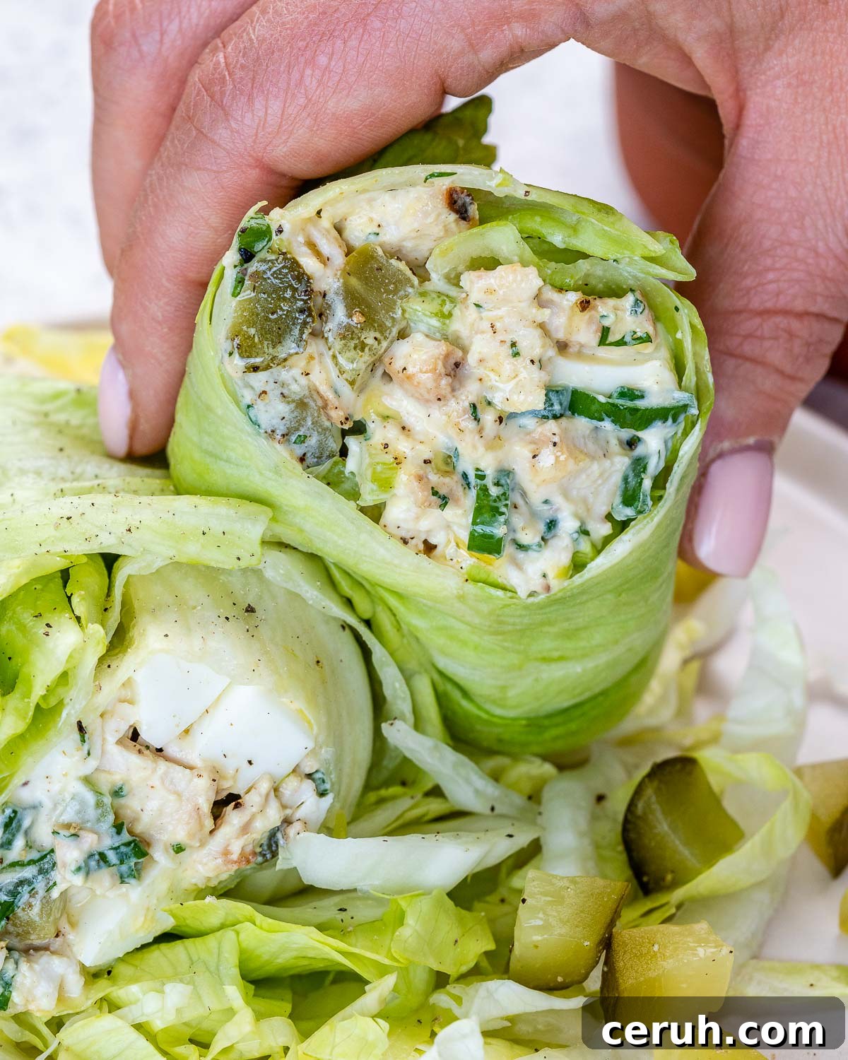 Pickle Lover’s Chicken Salad