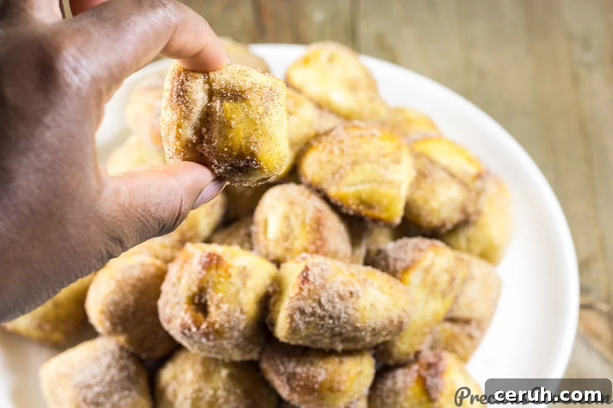 Enjoying Cinnamon Sugar Pretzel Bites