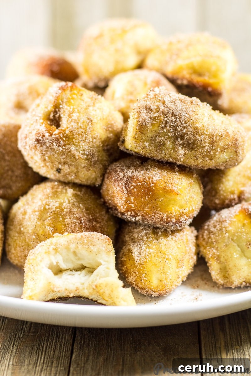 Homemade Cinnamon Sugar Pretzel Bites.