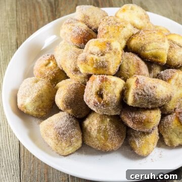 Recipe for Cinnamon Sugar Pretzel Bites