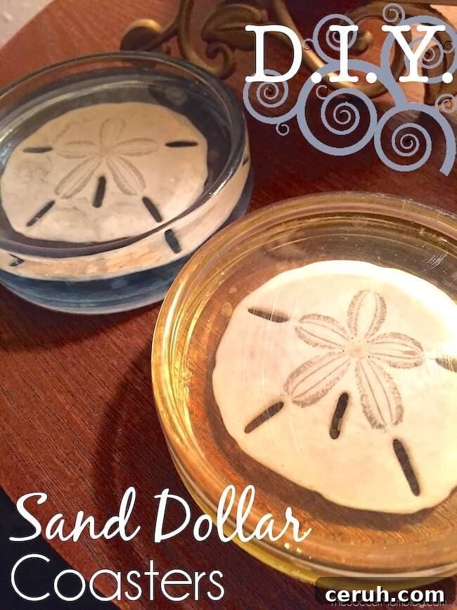 coasters made from resin with sand dollars in the middle.